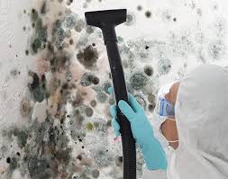 Best Air Quality Testing for Mold Spores  in Abingdon, MD